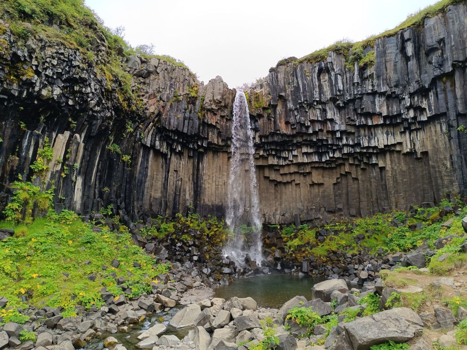 Svartifoss waterfall cascades into a rocky pool framed by an amphitheater of dark hexagonal basalt columns in Skaftafell.