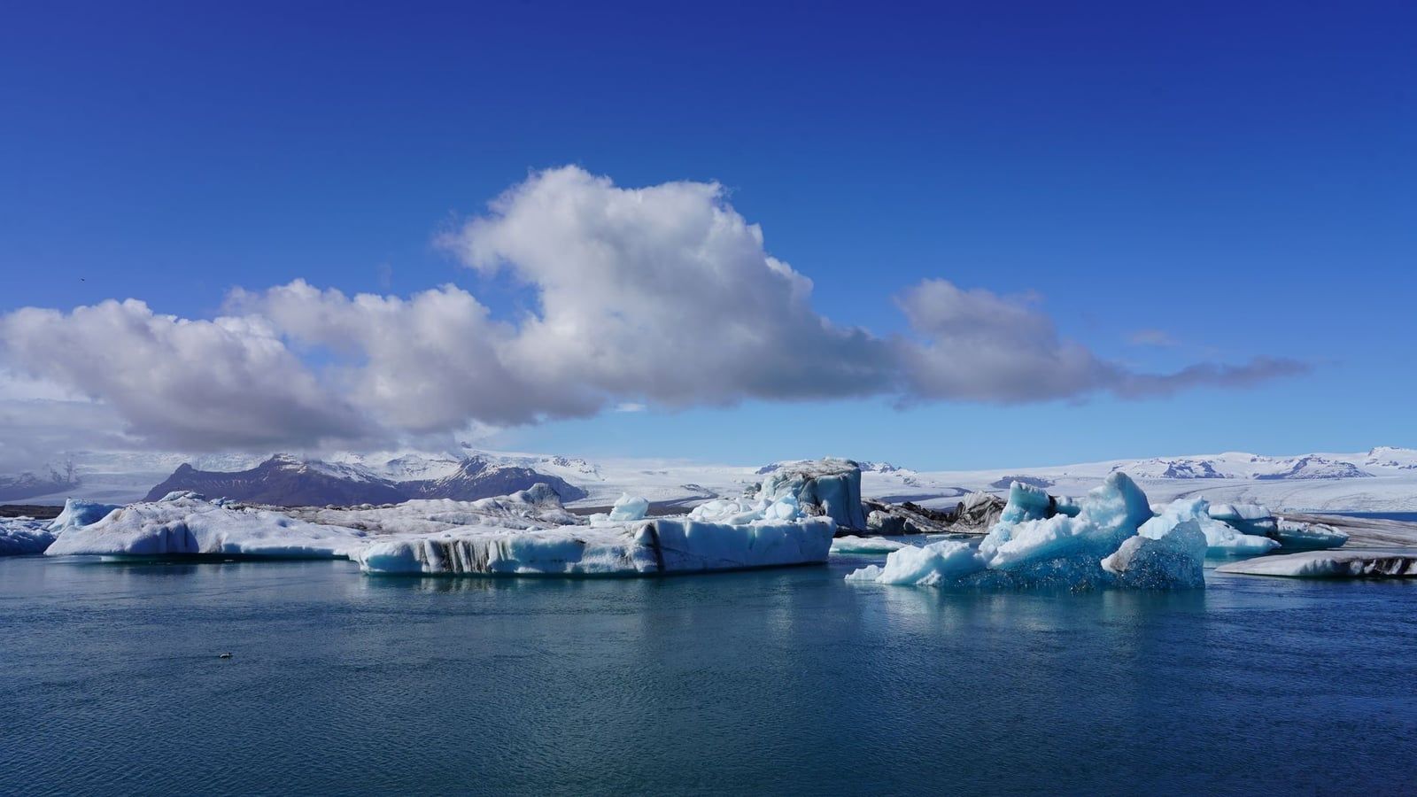 Blue icebergs float across the waters of Jökulsárlón glacier lagoon beneath snow-capped mountains near Skaftafell.