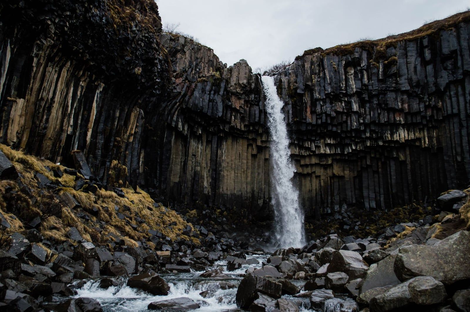 Svartifoss waterfall cascades down a dramatic cliff of dark hexagonal basalt columns in Skaftafell, Iceland.